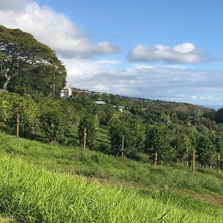 Nohokai At Kona Joe Coffee Farm Hotell Kealakekua Eksteriør bilde