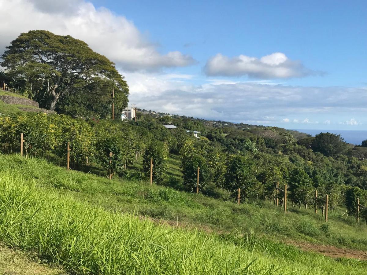 Nohokai At Kona Joe Coffee Farm Hotell Kealakekua Eksteriør bilde
